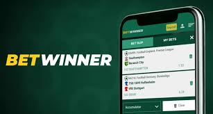 Your Ultimate Guide to the BetWinner Login Process -810081339 Your Ultimate Guide to the BetWinner Login Process -810081339