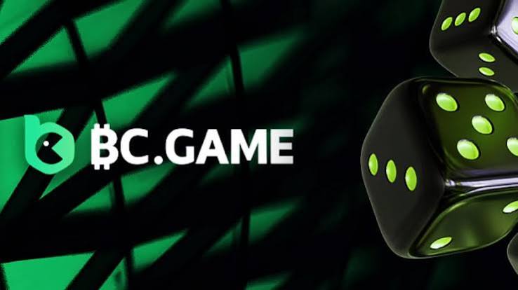Understanding the BC.Game Verification Process A Comprehensive Guide 848774974 Understanding the BC.Game Verification Process A Comprehensive Guide 848774974